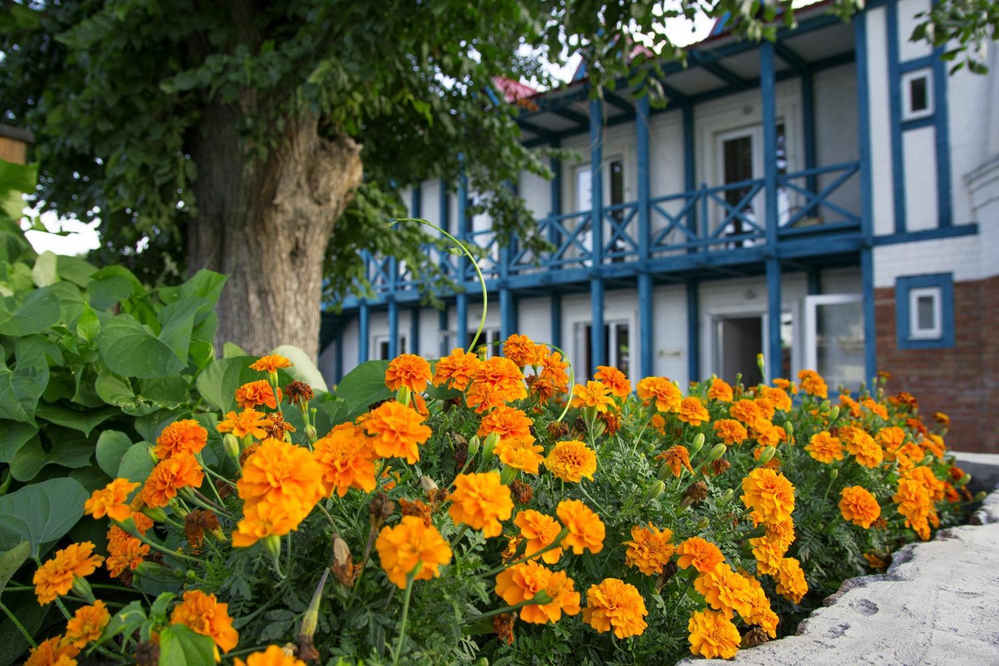 Mayak Resort Kam'yani Potoky 외부 사진