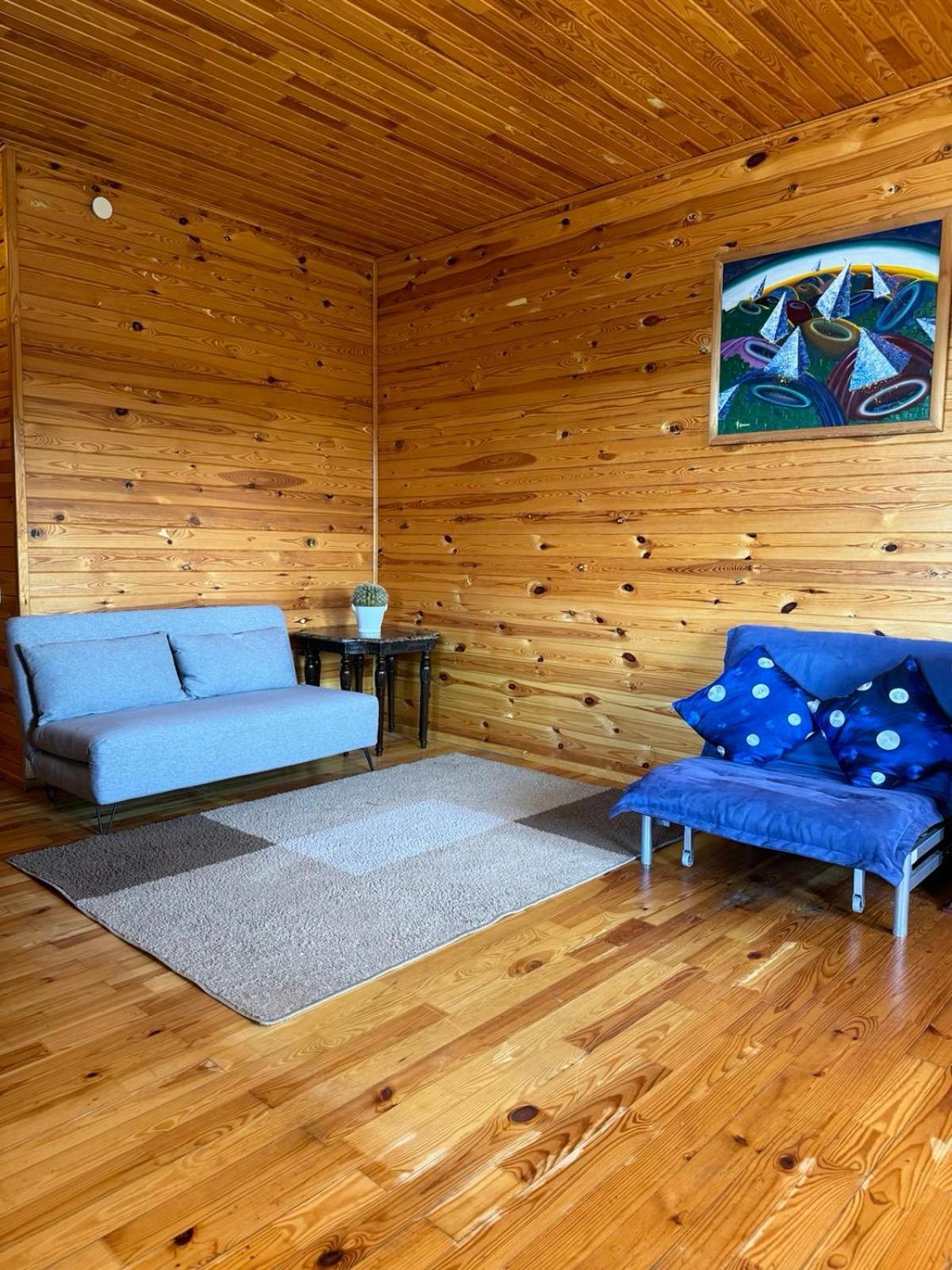 Mayak Resort Kam'yani Potoky 객실 사진
